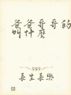 爸爸哥哥的孩子叫什么