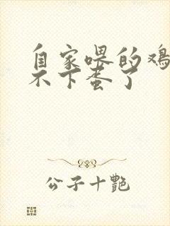 自家喂的鸡突然不下蛋了