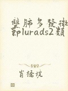 双肺多发微小结节lurads2类封面