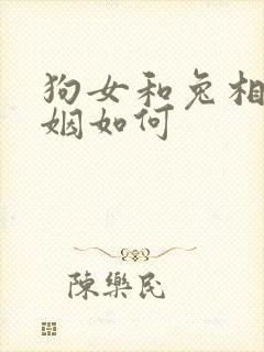 狗女和兔相配婚姻如何