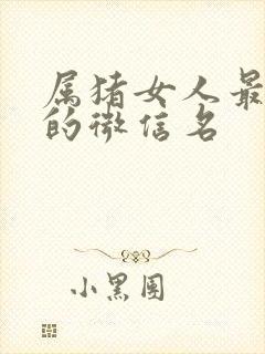 属猪女人最旺财的微信名