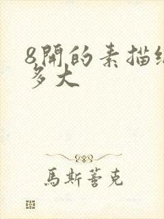 8开的素描纸有多大