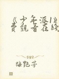 《少年派1》免费观看在线