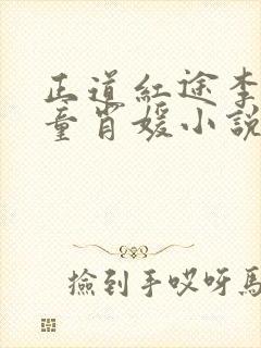 正道红途李初年童肖媛小说1376章