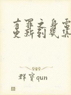 有罪之身电视剧更新到几集了封面