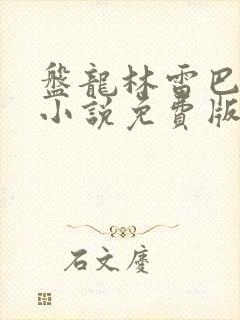 盘龙林雷巴鲁克小说免费版封面