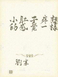 小肚子疼想拉屎的感觉一样怎么回事