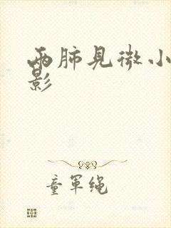 两肺见微小结节影