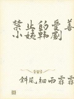 禁止的爱善良的小姨韩剧