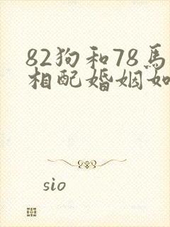 82狗和78马相配婚姻如何