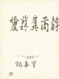 婚前房子结婚后属于共同财产吗