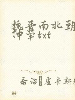 魏晋南北朝史王仲荦txt