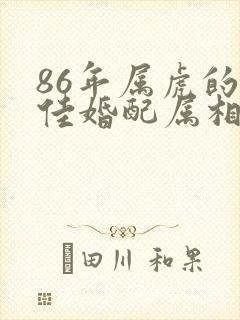 86年属虎的最佳婚配属相封面