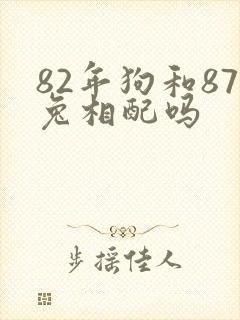 82年狗和87兔相配吗