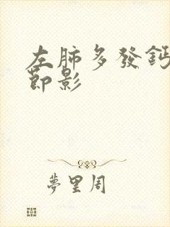 左肺多发钙化结节影封面