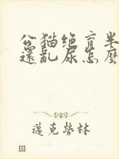 公猫绝育半年了还乱尿怎么办封面