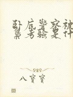 卧底警察被女毒枭考验是什么电视剧