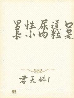 男性尿道口周围长小肉粒是怎么回事