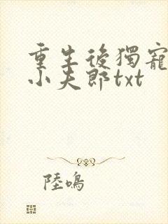 重生后独宠灾星小夫郎txt
