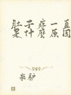 肚子疼一直拉屎是什么原因封面