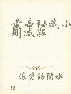 黄帝秘藏小说无删减版