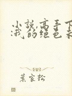 小说,高手下山:我的绝色未婚妻