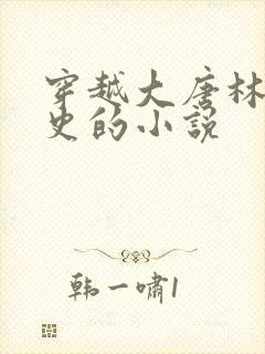 穿越大唐林浩刺史的小说封面