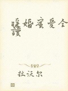 暖婚蜜爱全文阅读封面