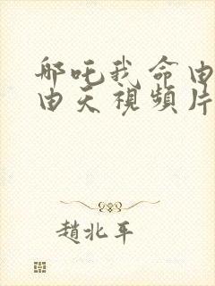 哪吒我命由我不由天视频片段封面