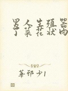 男人生殖器上长了菜花状肉粒