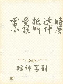 当爱抵达时原著小说叫什么