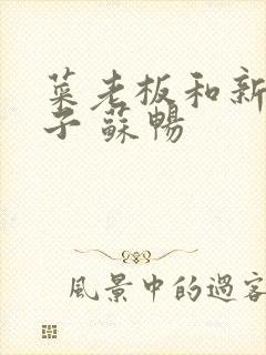 菜老板和新婚妻子 苏畅