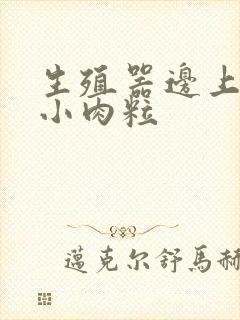 生殖器边上有个小肉粒封面