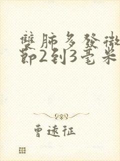 双肺多发微小结节2到3毫米封面