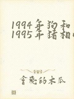 1994年狗和1995年猪相配吗