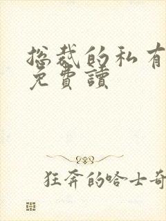 总裁的私有宝贝免费读封面