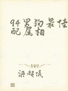 94男狗最佳婚配属相