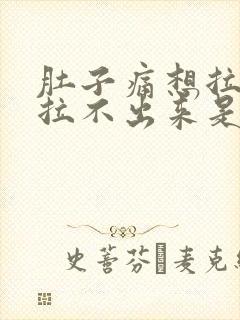 肚子痛想拉屎又拉不出来是什么原因