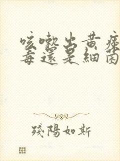 咳嗽出黄痰是病毒还是细菌