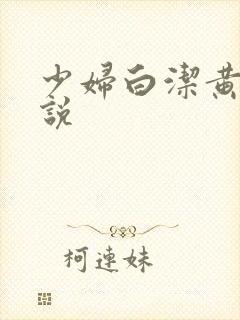 少妇白洁黄色小说封面