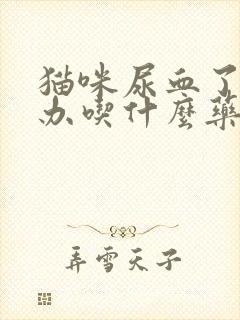 猫咪尿血了怎么办吃什么药封面