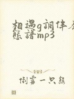相遇g调伴奏动态谱mp3封面