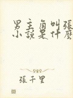 男主角叫张成的小说是什么