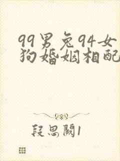 99男兔94女狗婚姻相配好吗