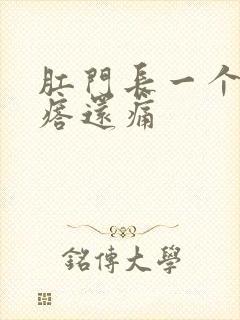 肛门长一个硬疙瘩还痛封面