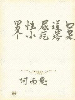 男性尿道口长一个小疙瘩是怎么回事儿