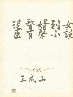 从赘婿到女帝宠臣有声小说