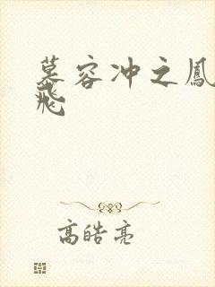 慕容冲之凤凰于飞封面