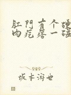 肛门有个硬硬的肉疙瘩一碰会疼