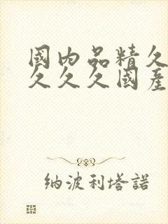 国内品精久久久久久久国产